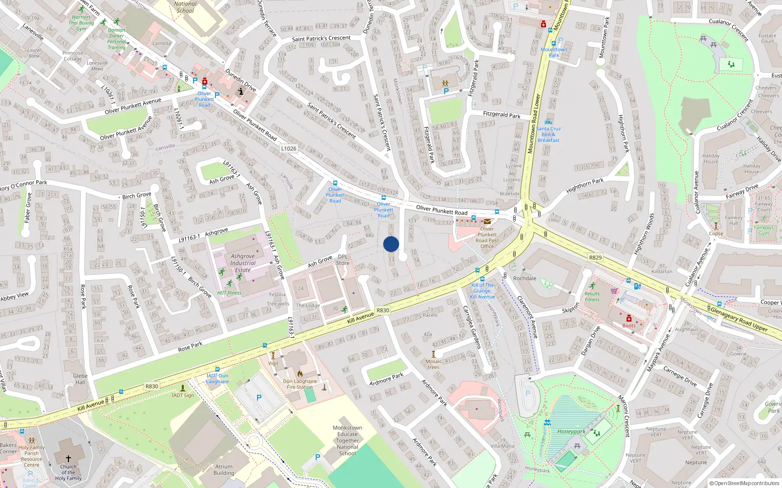 Overhead map showing the location of 7A St Patricks Terrace, Monkstown, Dublin
