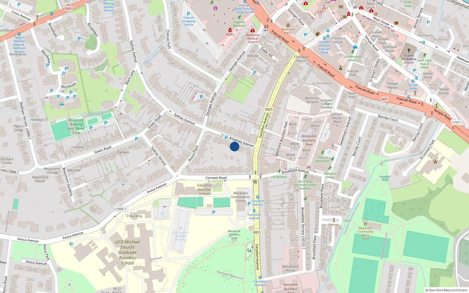 Overhead map showing the location of 8 Anglesea Avenue, Blackrock