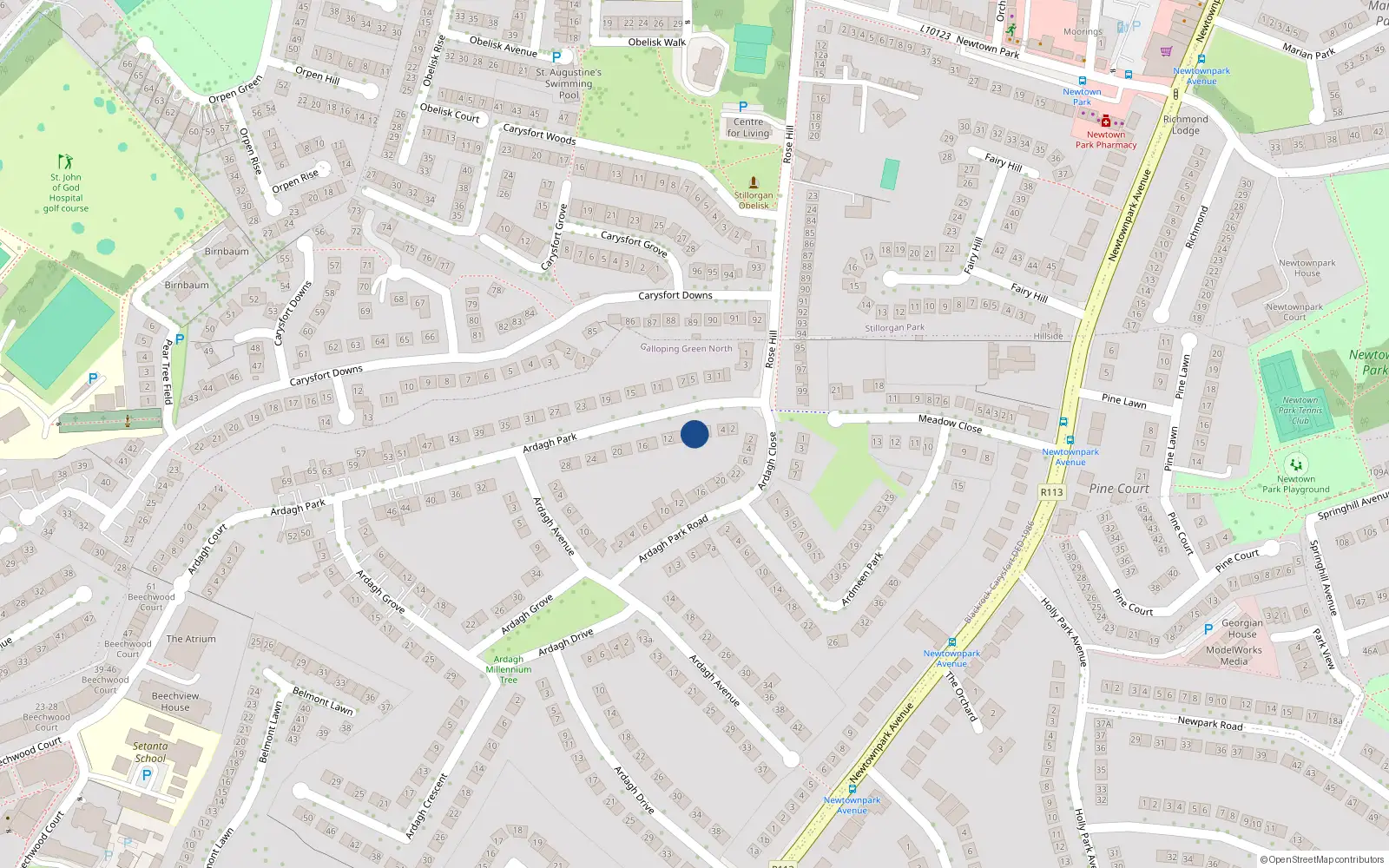 Overhead map showing the location of 8 Ardagh Park, Blackrock