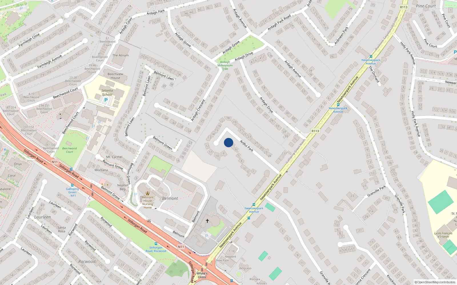 Overhead map showing the location of 8 Ardlui Park, Blackrock