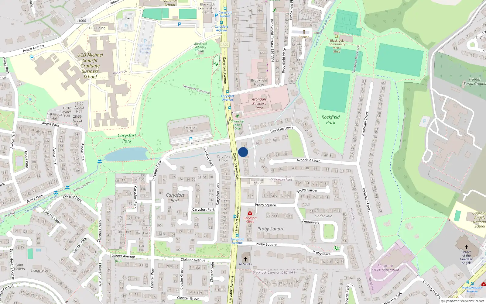 Overhead map showing the location of 8 Avondale Lawn, Blackrock