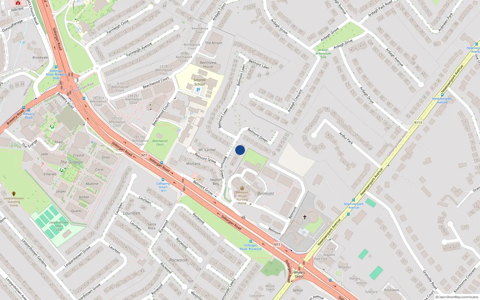 Overhead map showing the location of 8 Belmont Green, Blackrock