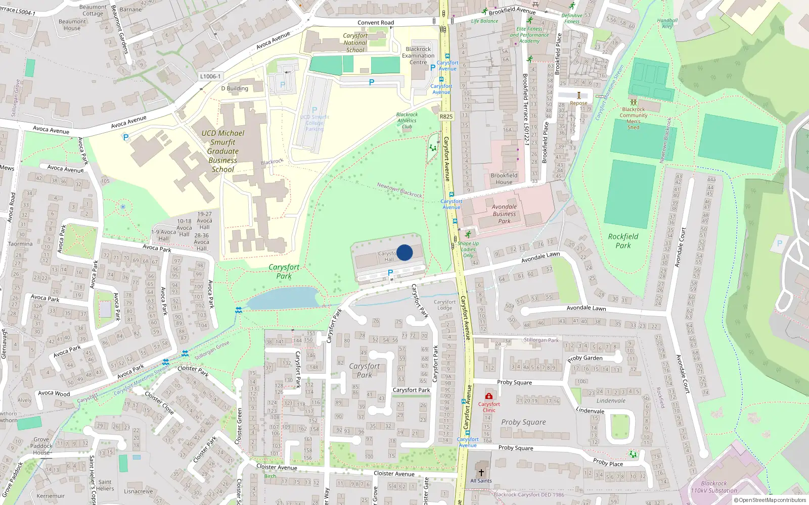 Overhead map showing the location of 8 Carysford Hall, Blackrock, Dublin