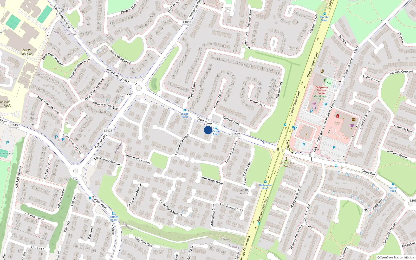 Overhead map showing the location of 8 Castle Riada Grove, Lucan