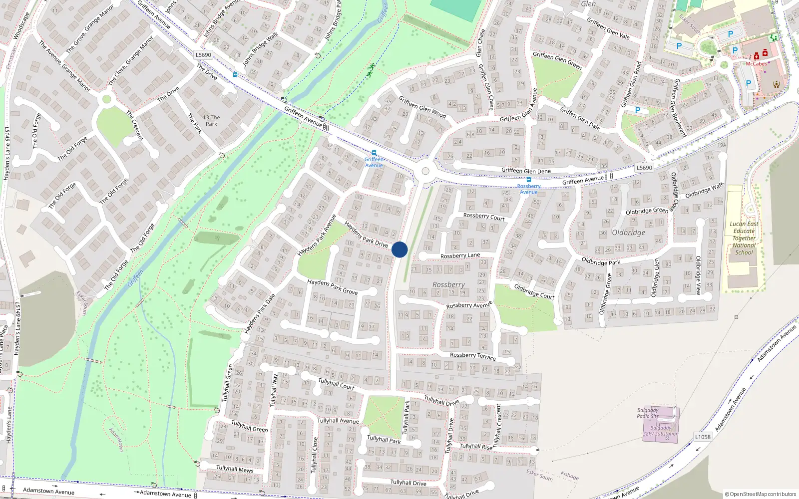 Overhead map showing the location of 8 Hayden's Park, Lucan
