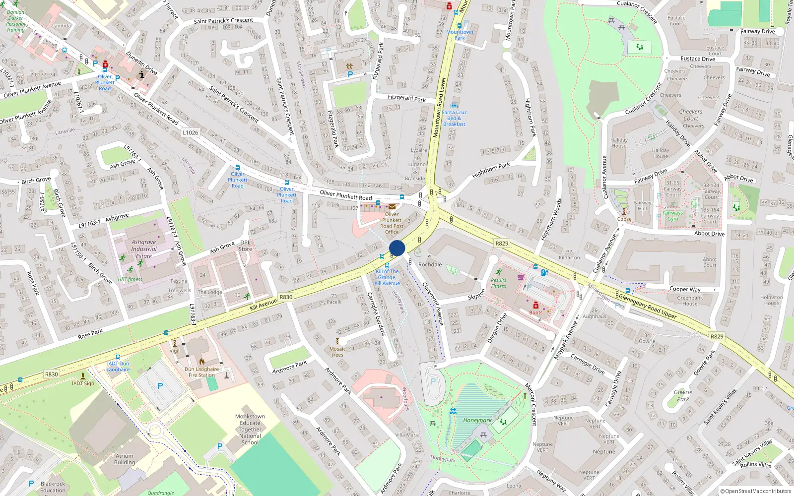 Overhead map showing the location of 8 Kill Avenue, Dublin
