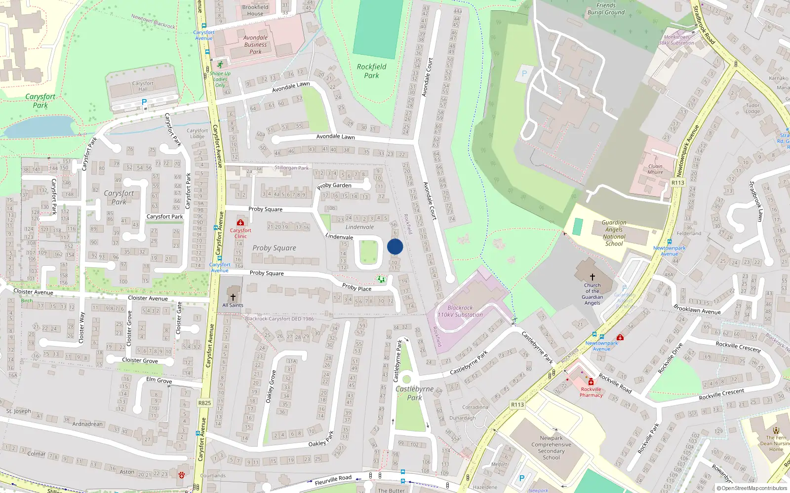 Overhead map showing the location of 8 Lindenvale, Blackrock