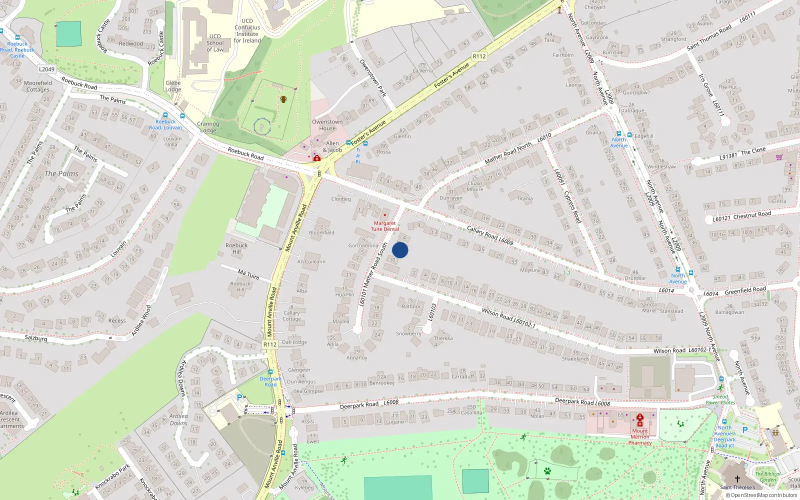 Overhead map showing the location of 8 Mather Road South, Blackrock