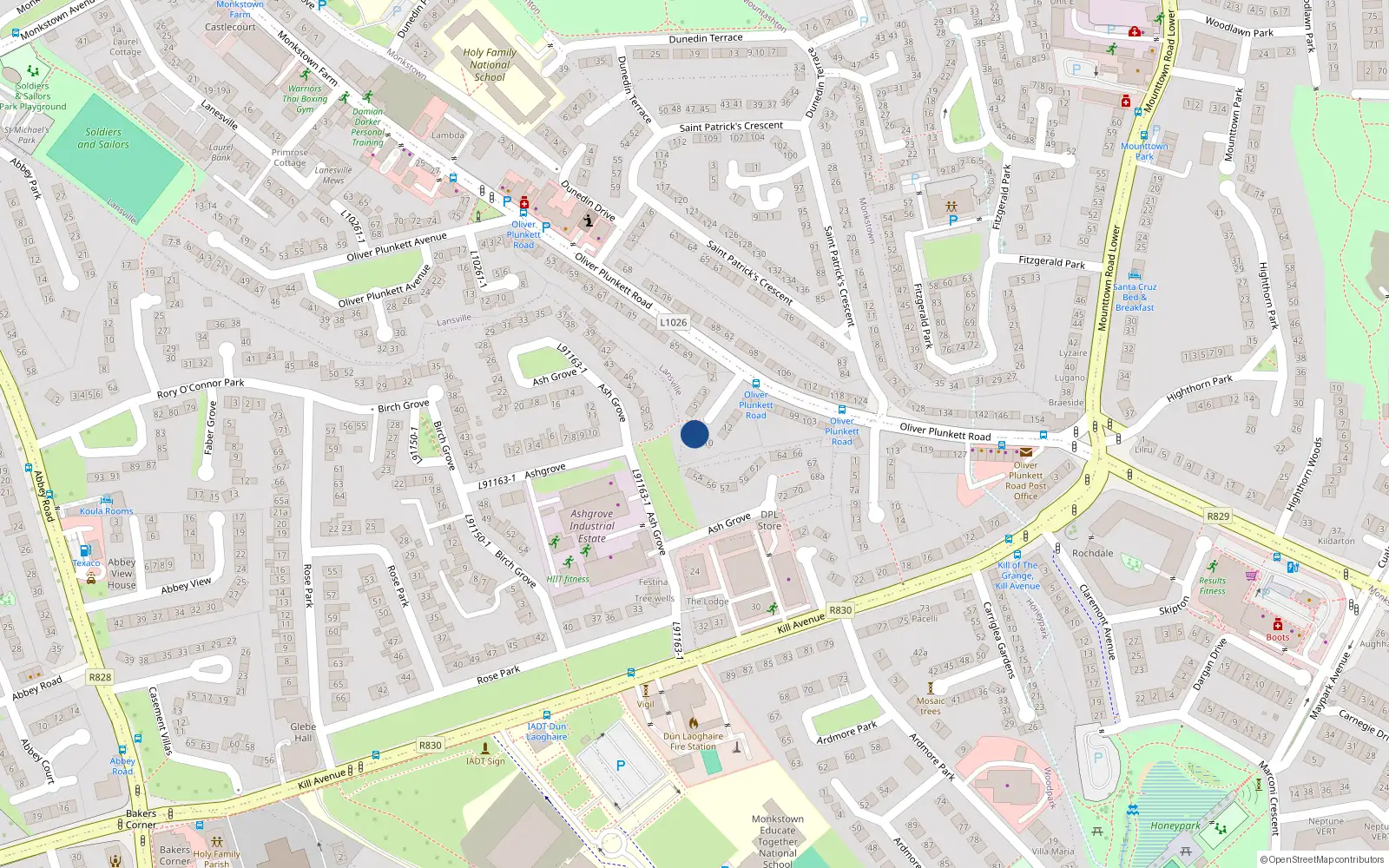 Overhead map showing the location of 8 Oliver Plunkett Square, Lansville