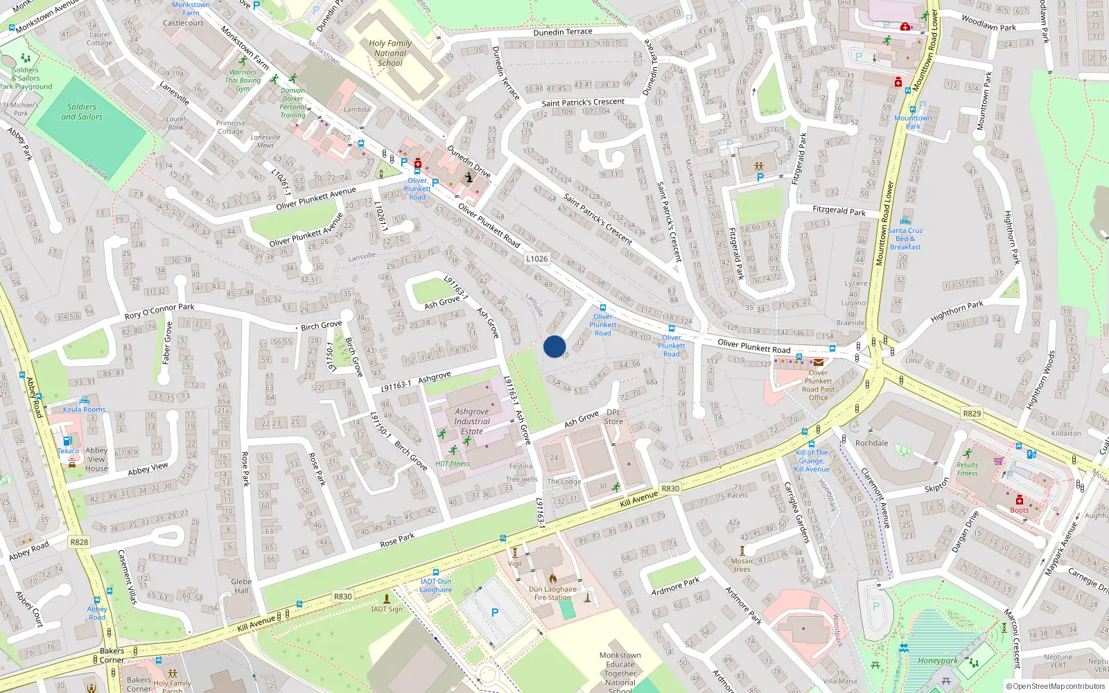 Overhead map showing the location of 8 Oliver Plunkett Square, Monkstown Farm, Monkstown
