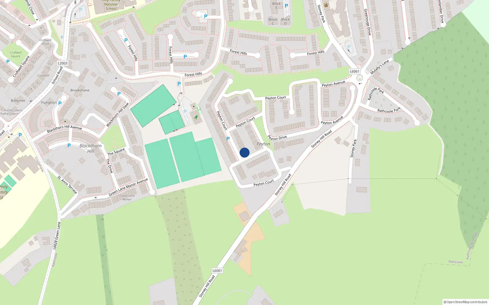 Overhead map showing the location of 8 Peyton Close, Rathcoole
