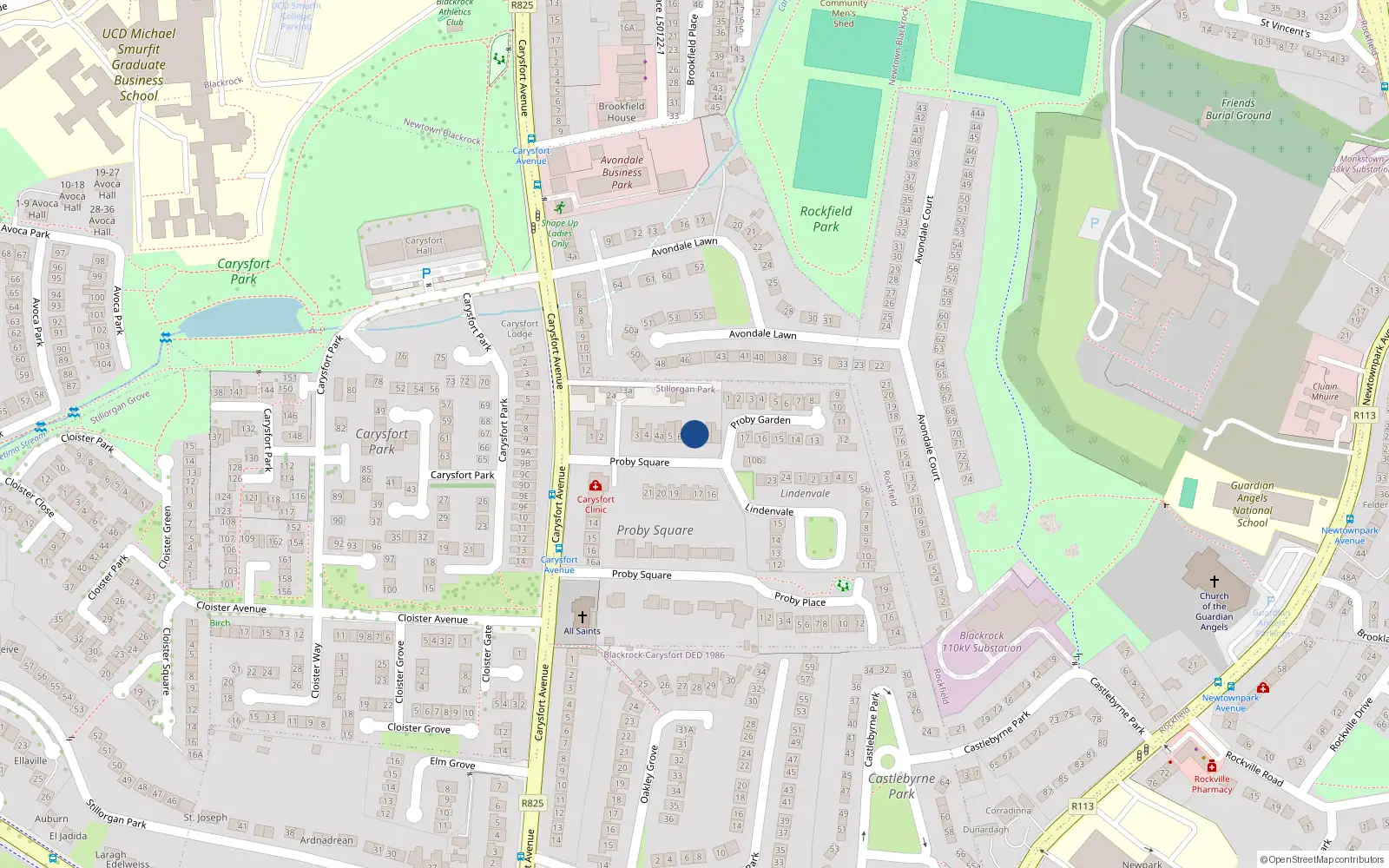 Overhead map showing the location of 8 Proby Square, Blackrock