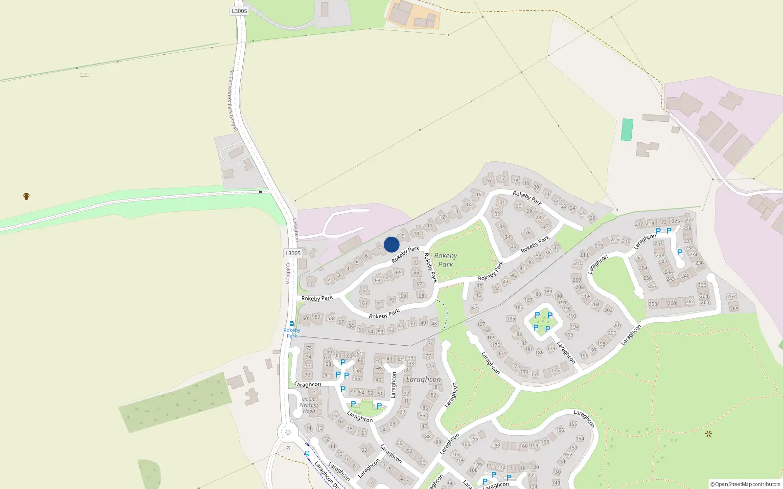 Overhead map showing the location of 8 Rokeby Park, Lucan