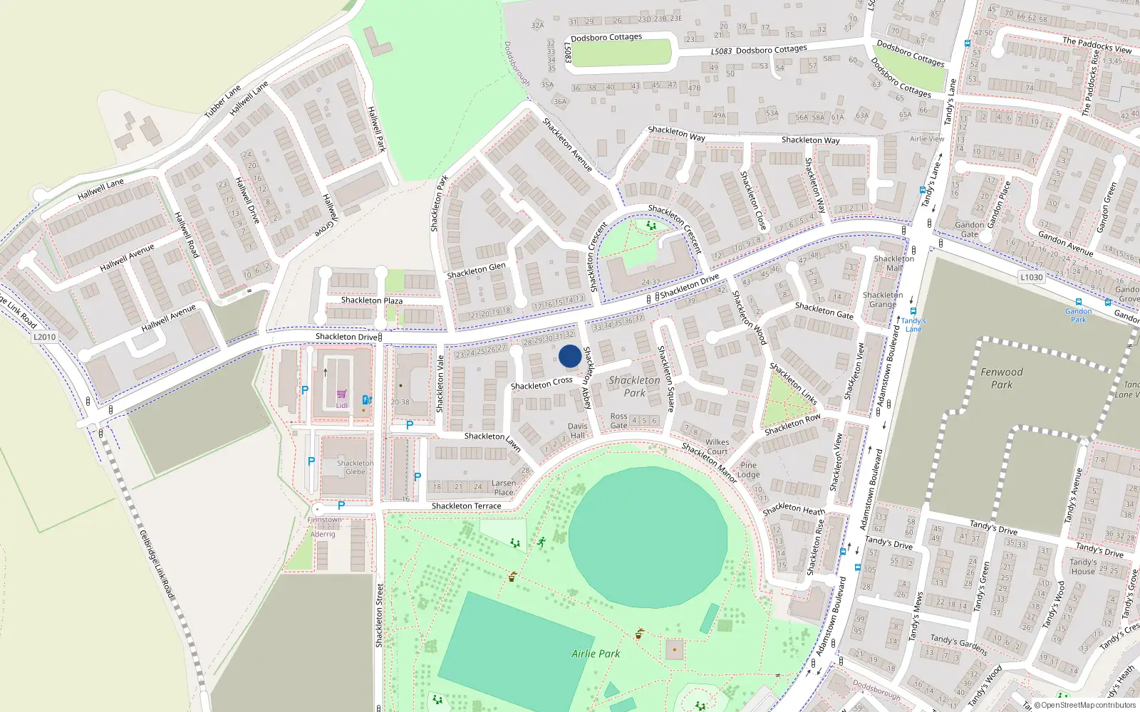 Overhead map showing the location of 8 Shackleton Abbey, Lucan