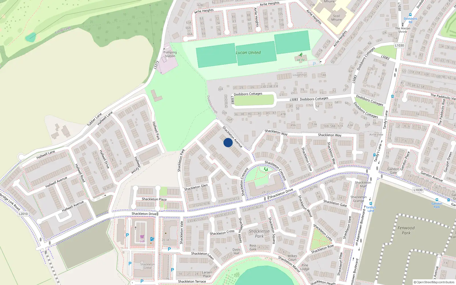 Overhead map showing the location of 8 Shackleton Avenue, Lucan