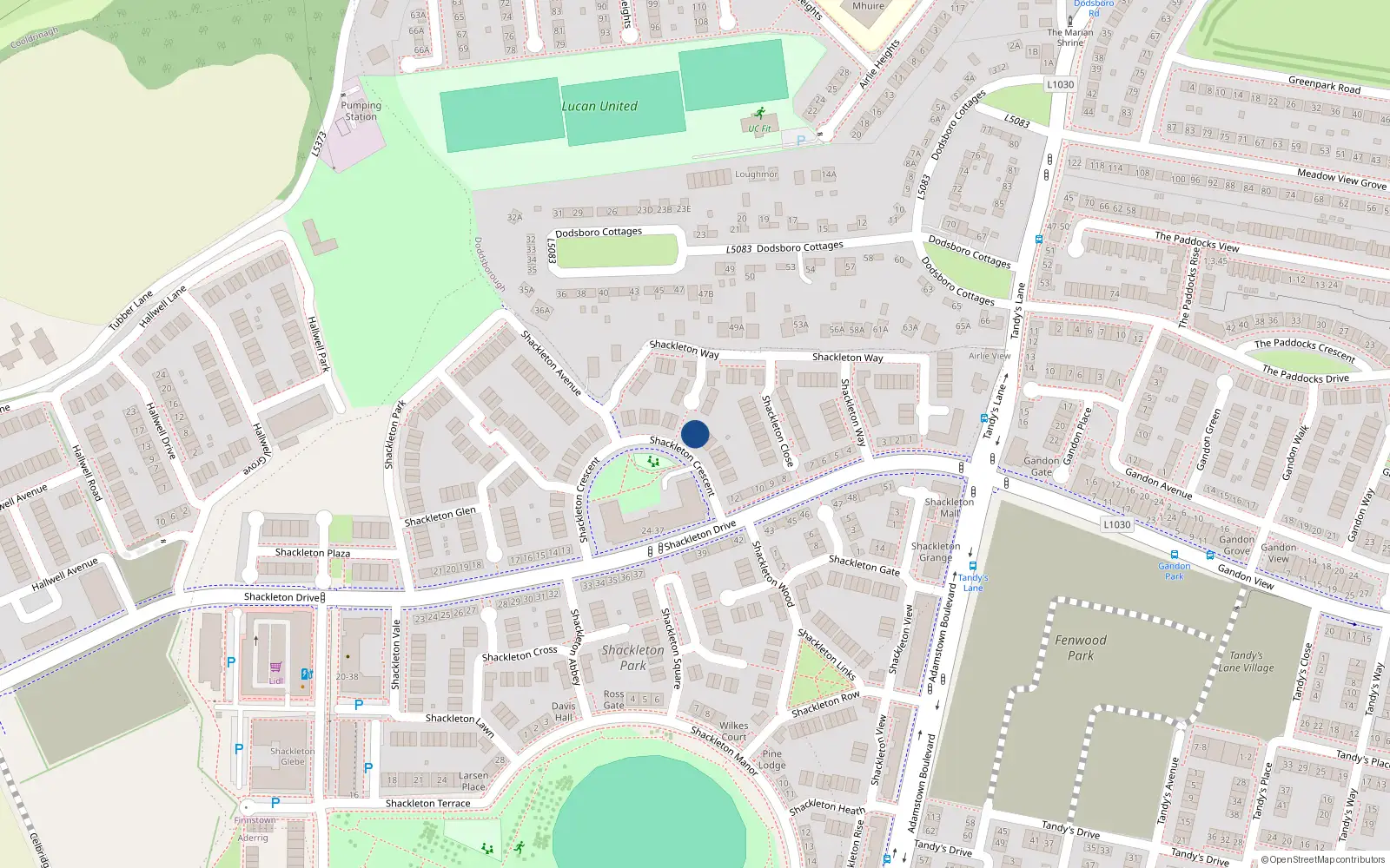 Overhead map showing the location of 8 Shackleton Crescent, Lucan