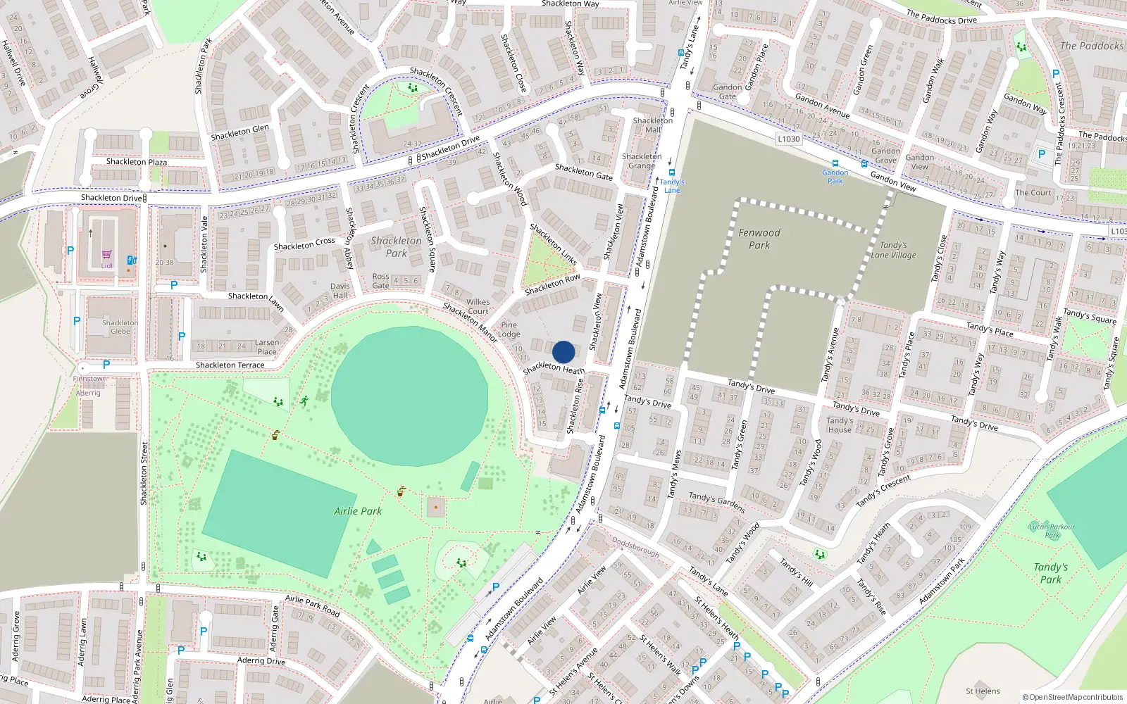 Overhead map showing the location of 8 Shackleton Heath, Shackleton Park, Lucan