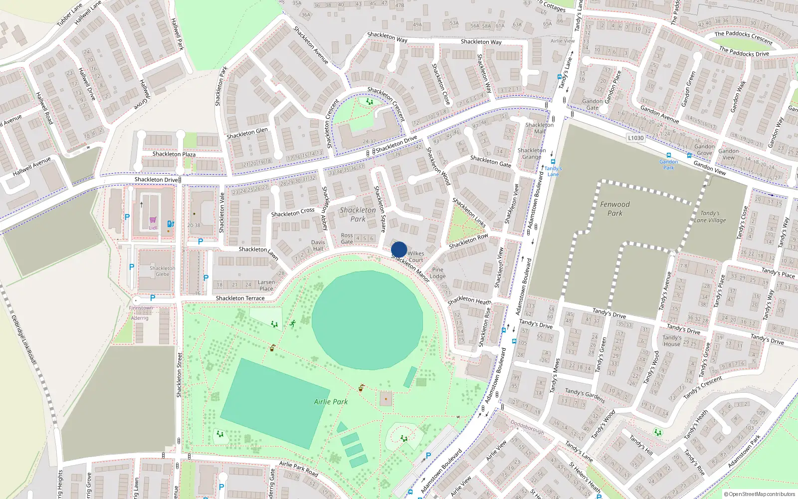 Overhead map showing the location of 8 Shackleton Manor, Lucan