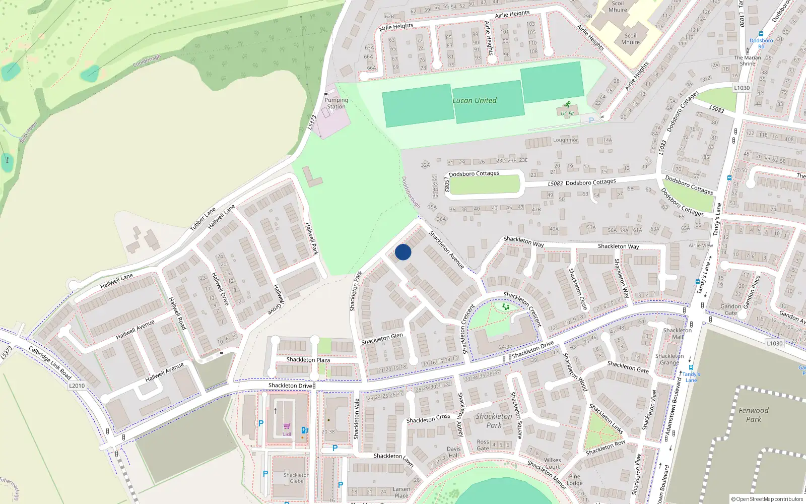 Overhead map showing the location of 8 Shackleton Park, Lucan