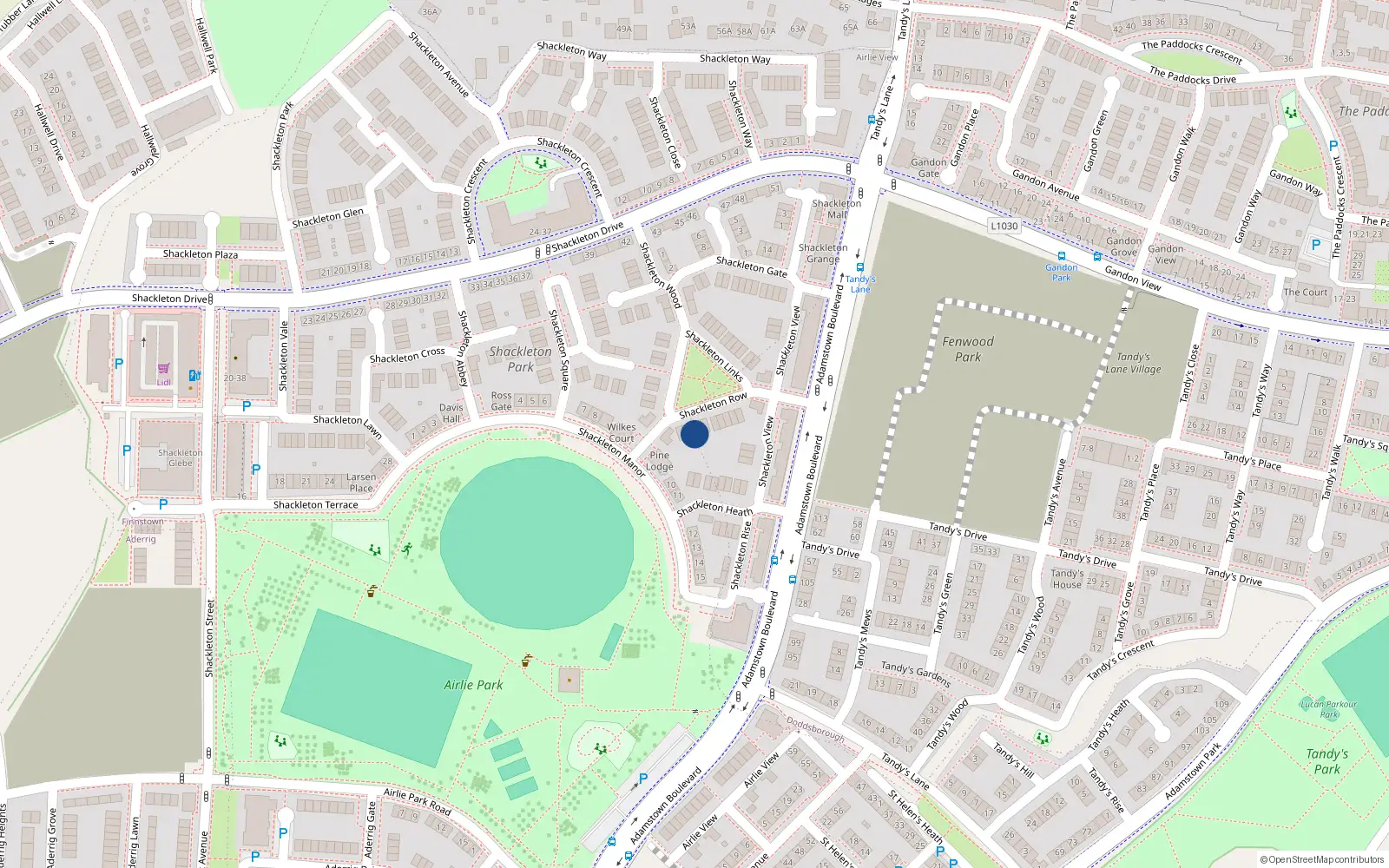 Overhead map showing the location of 8 Shackleton Row, Shackleton Park, Lucan