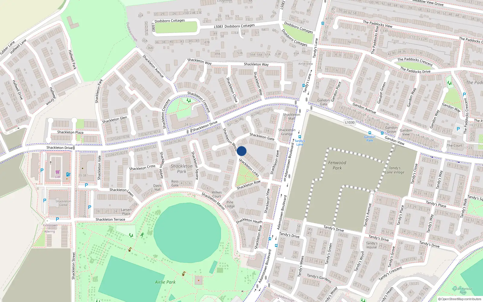Overhead map showing the location of 8 Shackleton Wood, Lucan