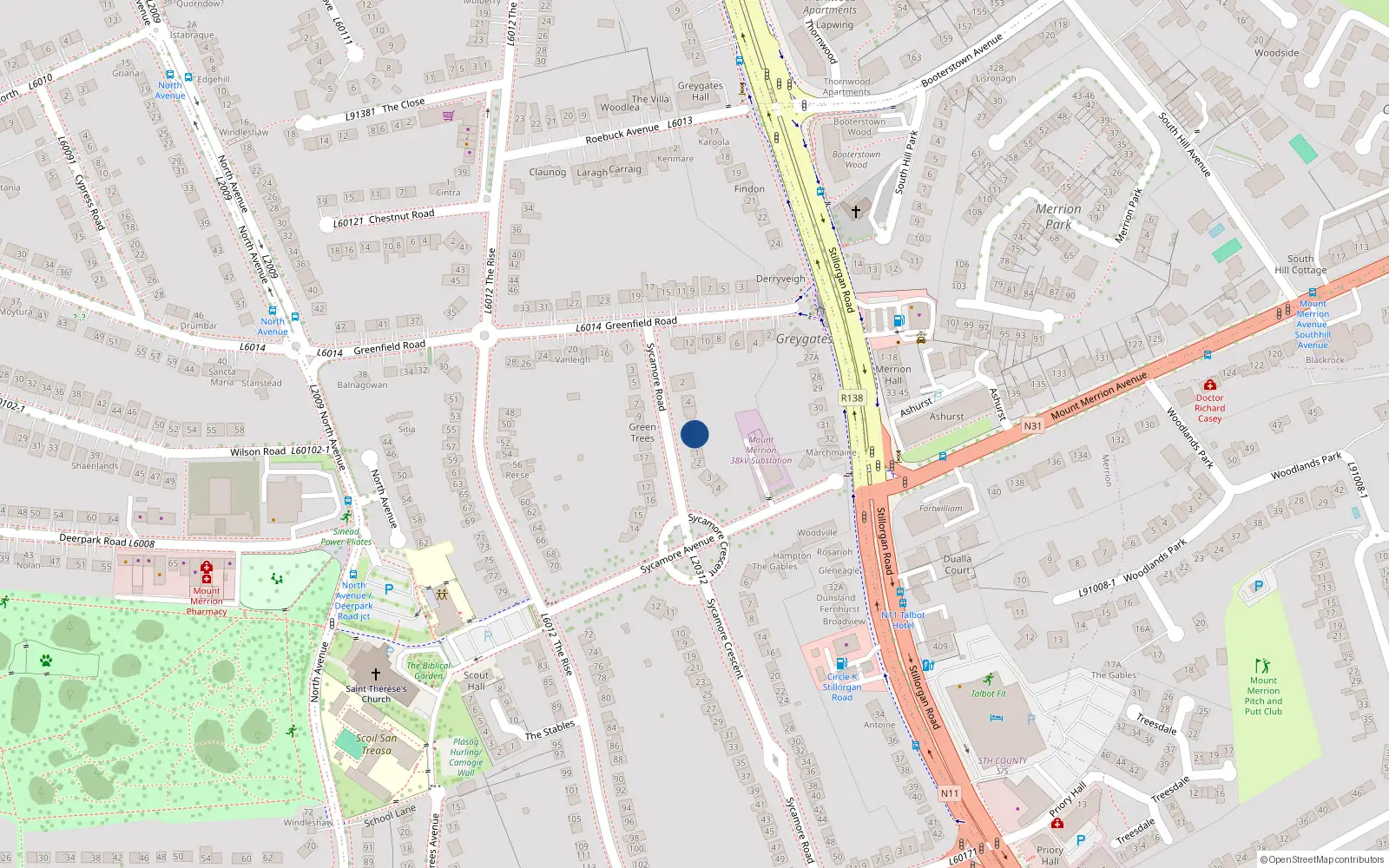 Overhead map showing the location of 8 Sycamore Road, Blackrock