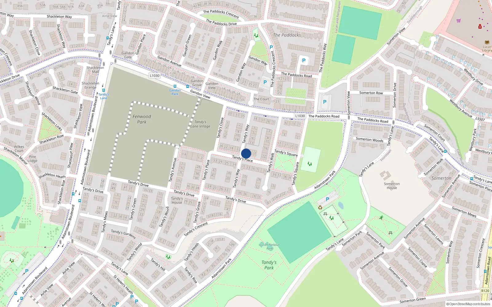 Overhead map showing the location of 8 Tandy's Place, Lucan