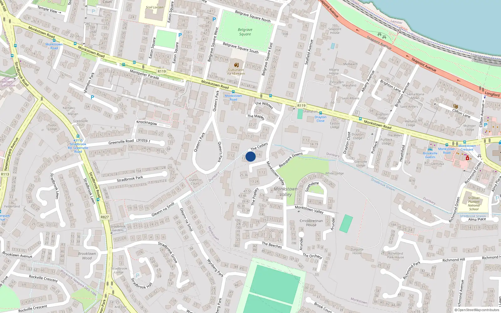 Overhead map showing the location of 8 the Cedars, Monkstown Valley, Monkstown