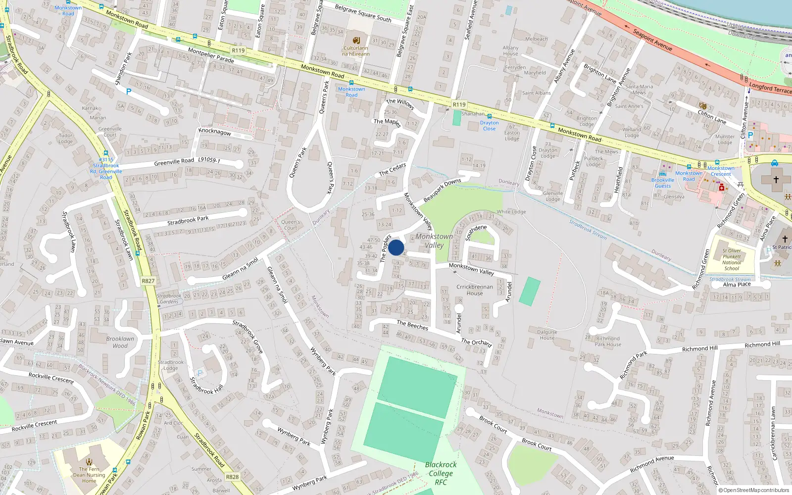 Overhead map showing the location of 8 the Poplars, Monkstown Valley, Monkstown