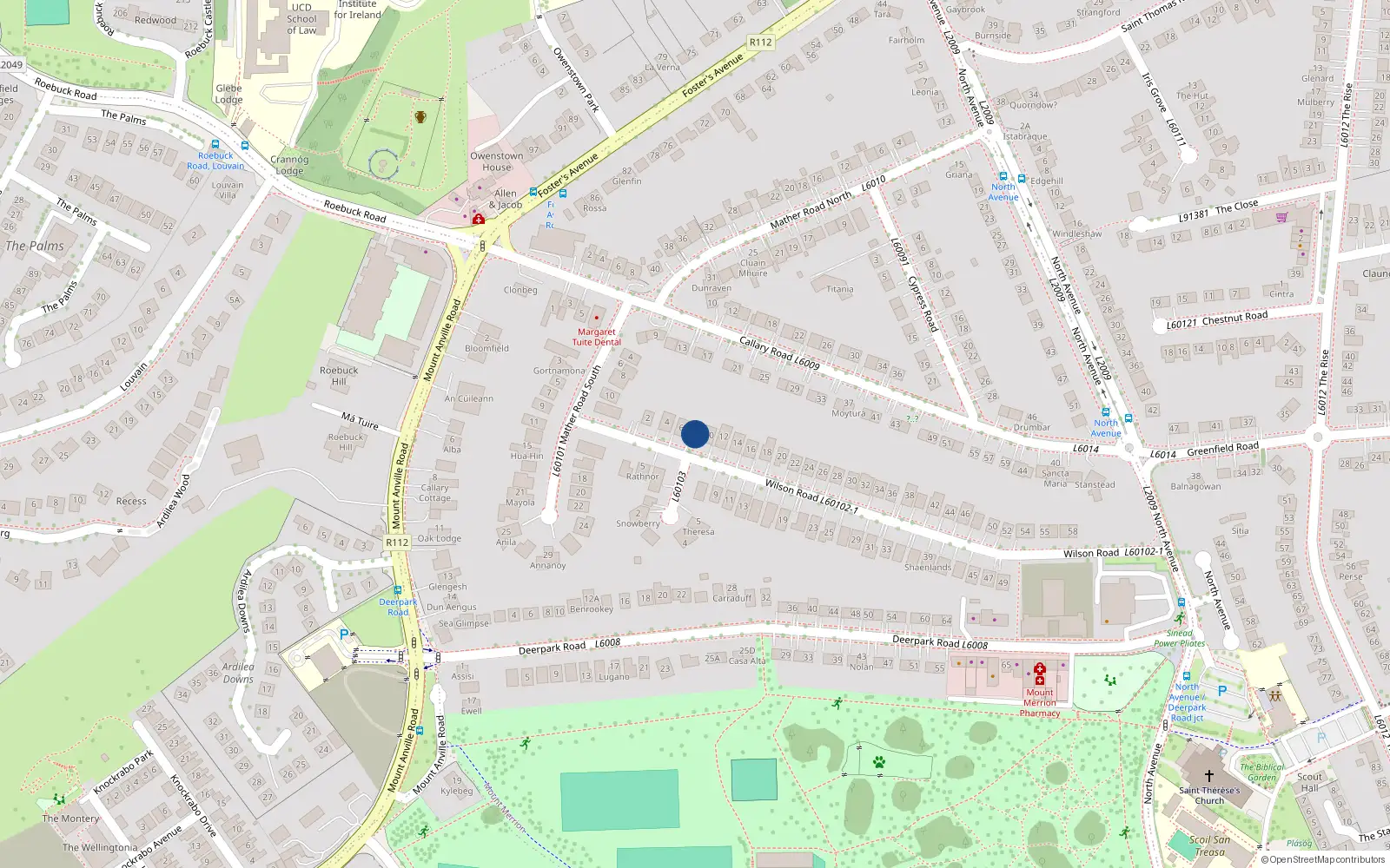 Overhead map showing the location of 8 Wilson Road, Mount Merrion, Co Dublin