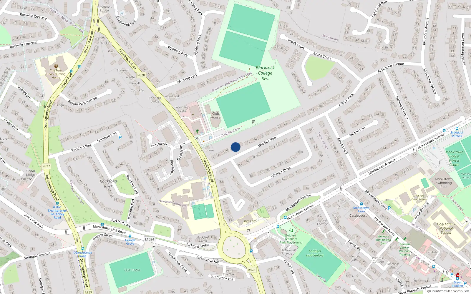 Overhead map showing the location of 8 Windsor Park, Monkstown