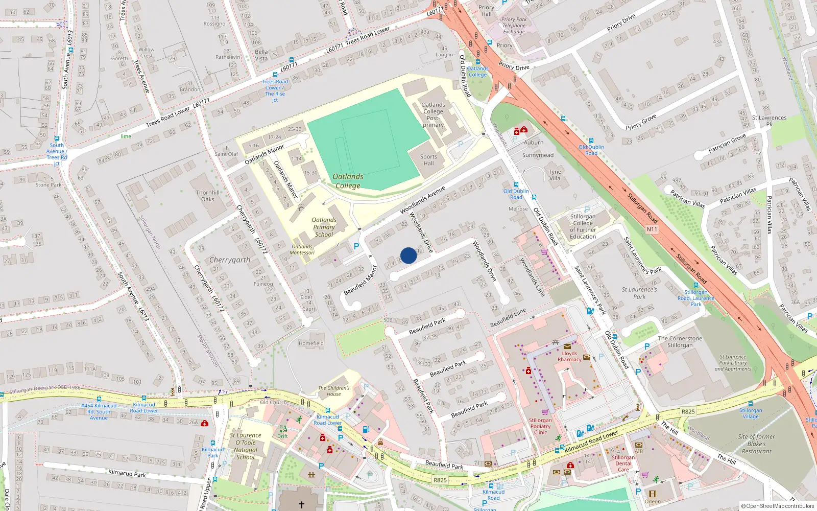 Overhead map showing the location of 8 Woodlands Drive, Dublin