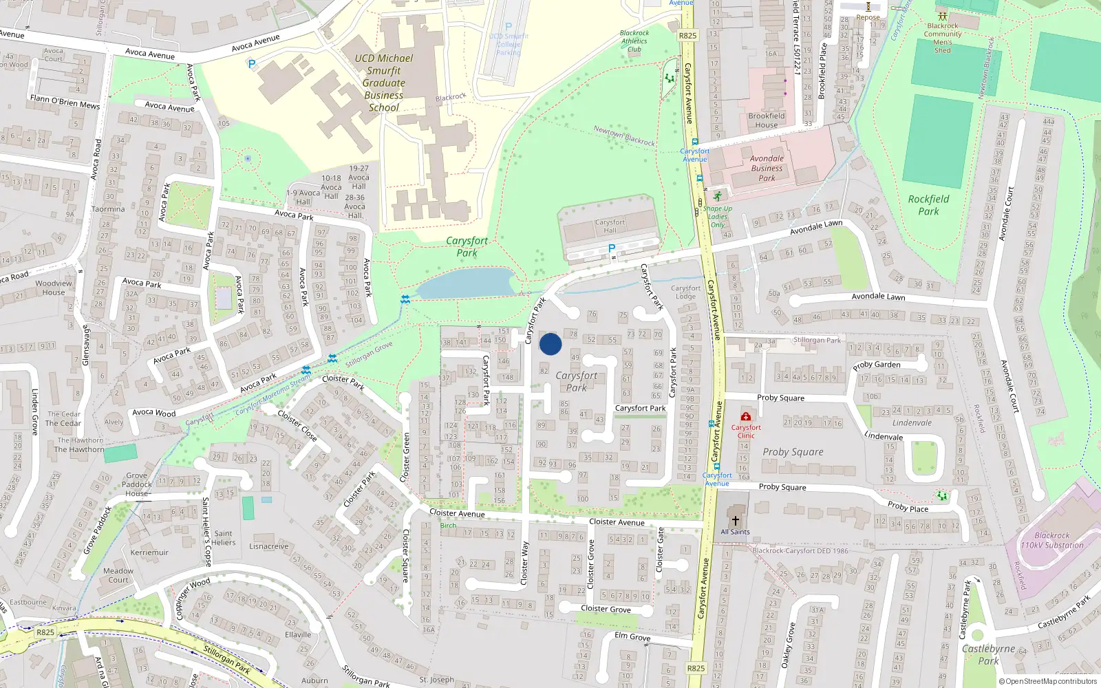 Overhead map showing the location of 80 Carysfort Park, Blackrock, Dublin