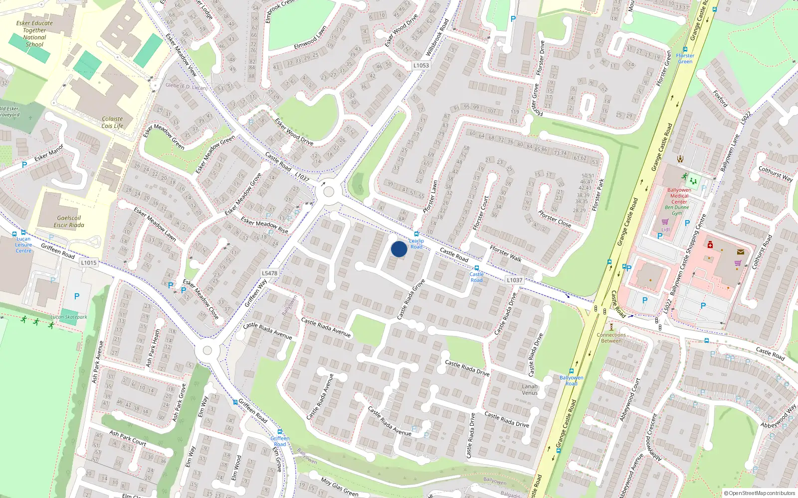 Overhead map showing the location of 80 Castle Riada Grove, Lucan