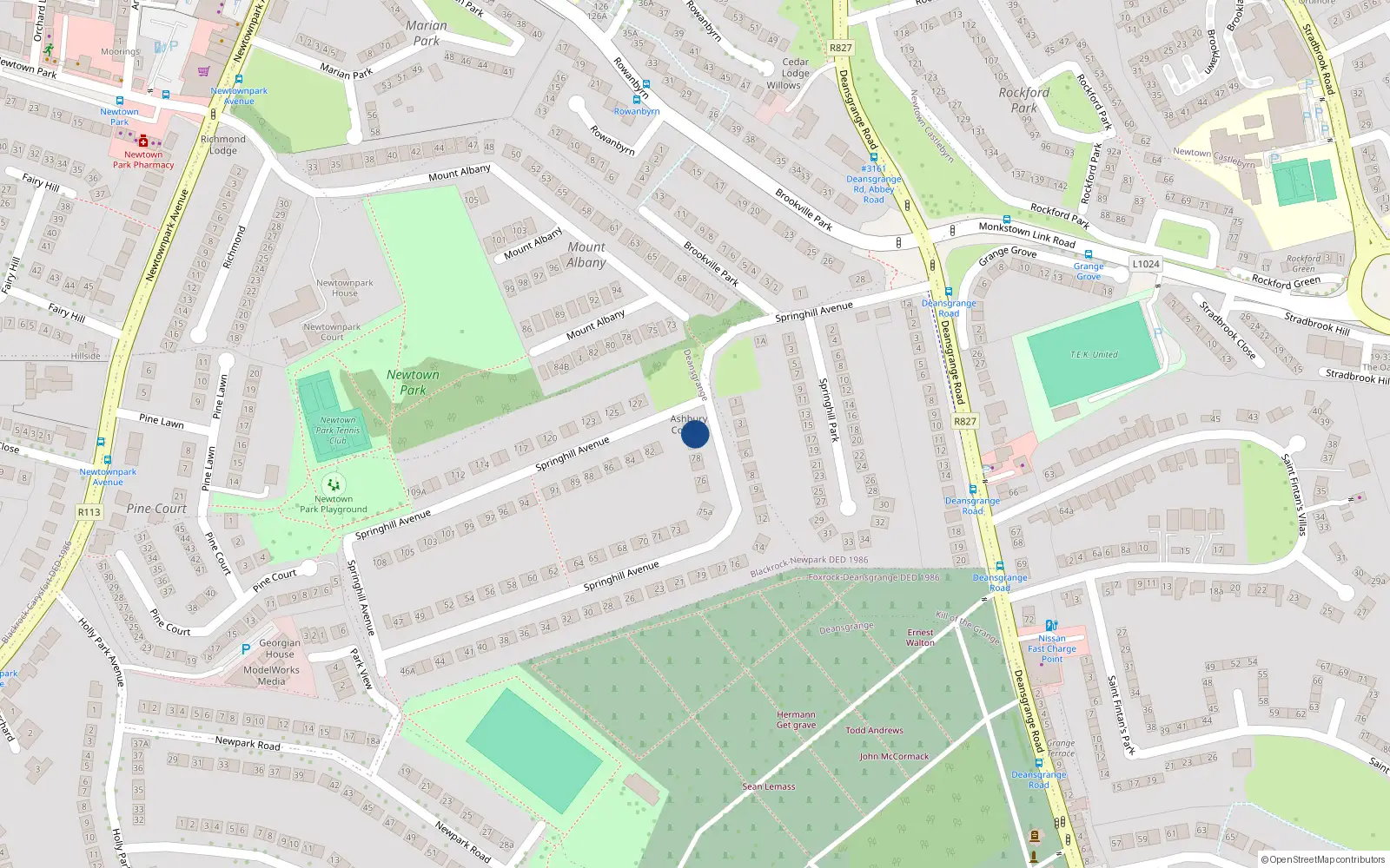 Overhead map showing the location of 80 Springhill Avenue, Blackrock
