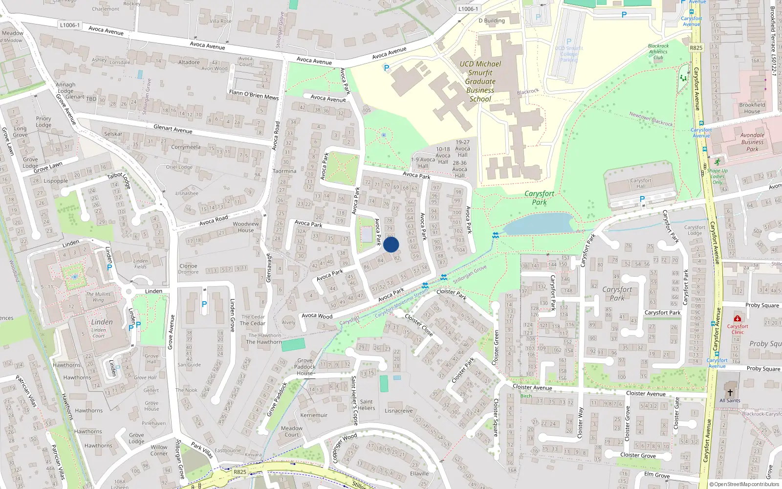 Overhead map showing the location of 81 Avoca Park, Blackrock