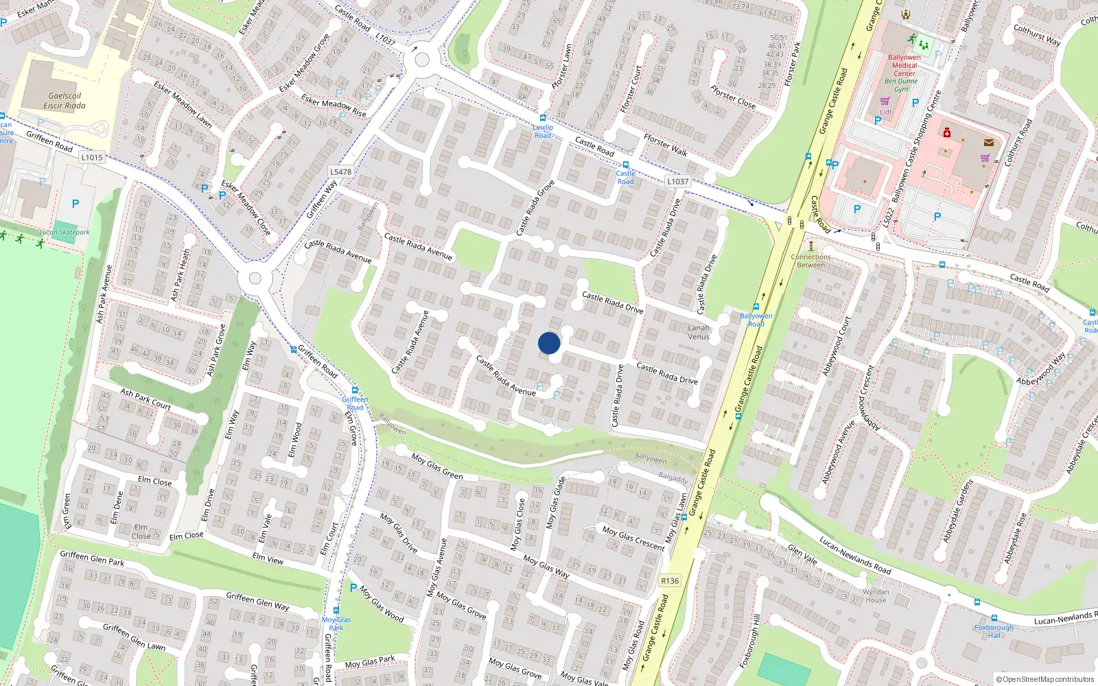 Overhead map showing the location of 81 Castle Riada Drive, Lucan