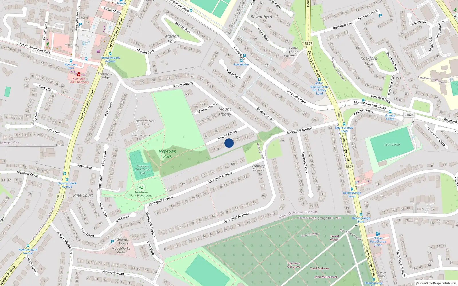 Overhead map showing the location of 81 Mount Albany, Blackrock