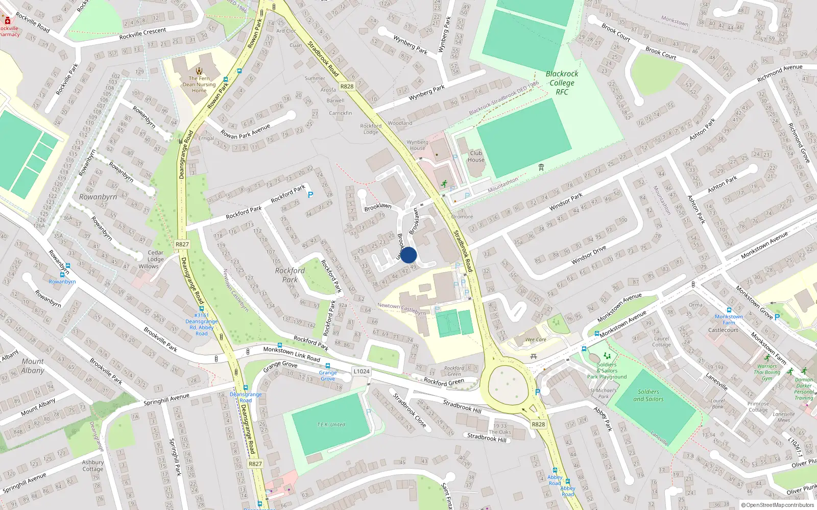 Overhead map showing the location of 81 Rockford Manor, Monkstown