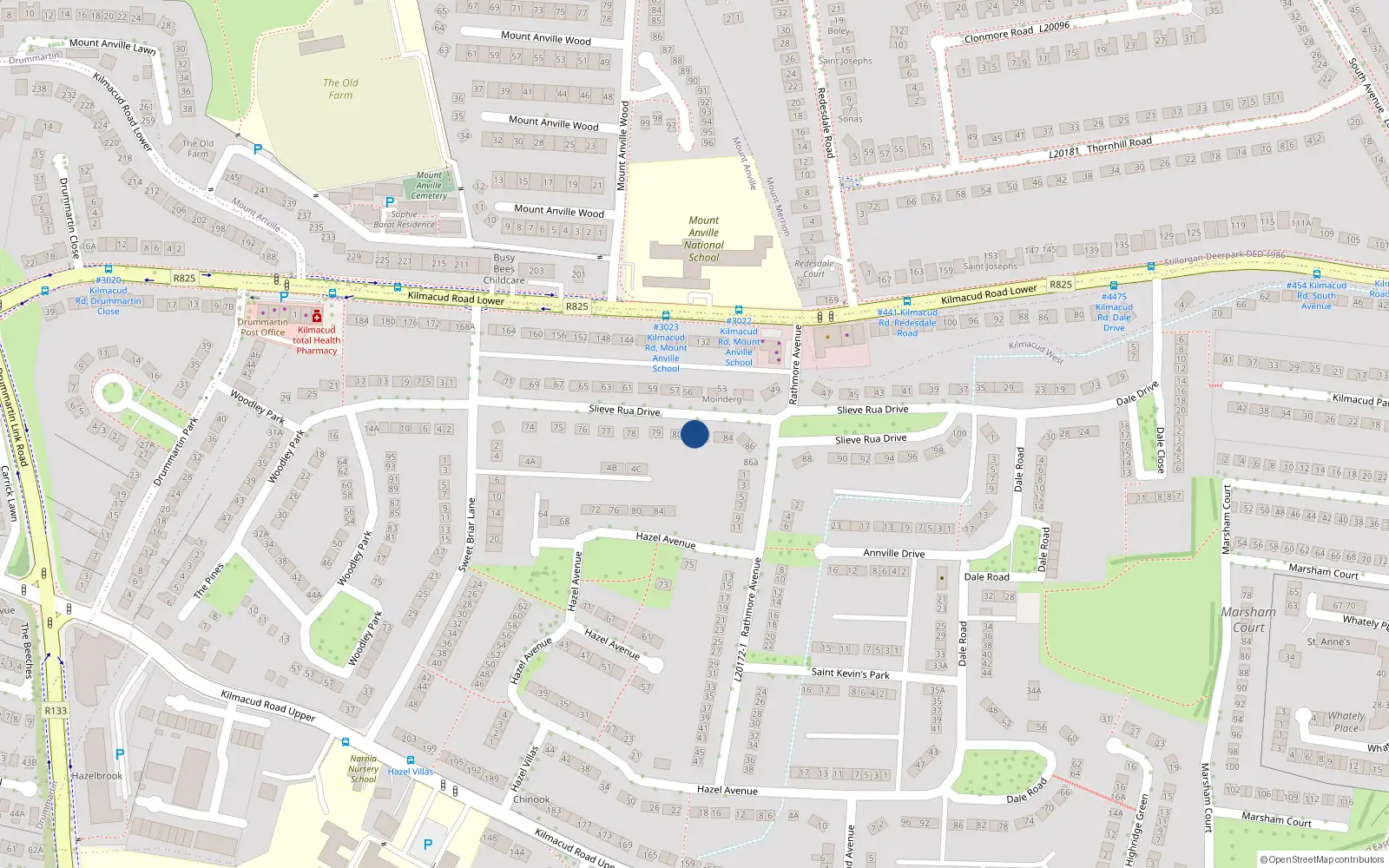 Overhead map showing the location of 81 Slieve Rua Drive, Blackrock