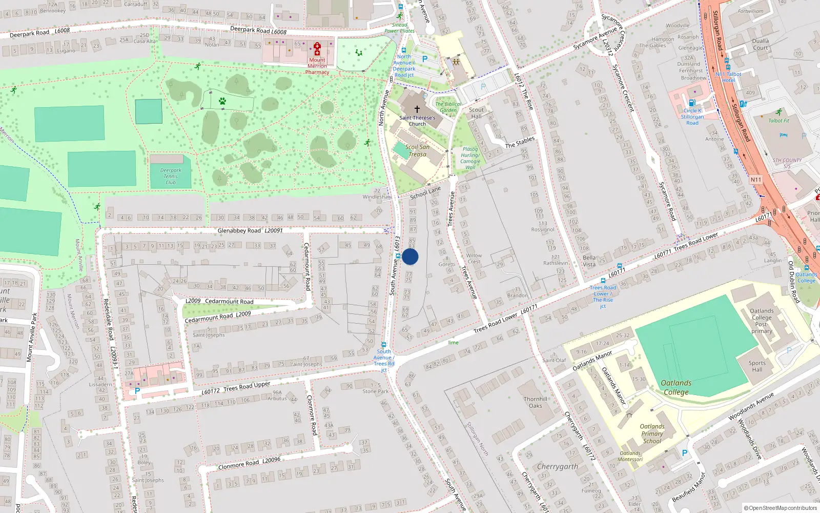 Overhead map showing the location of 81 South Avenue, Blackrock