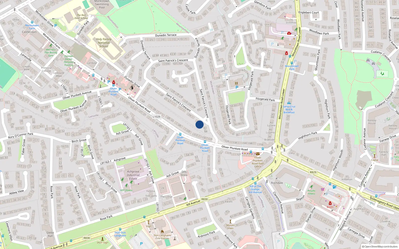 Overhead map showing the location of 81 St Patricks Crescent, Monkstown Farm, Dun Laoghaire