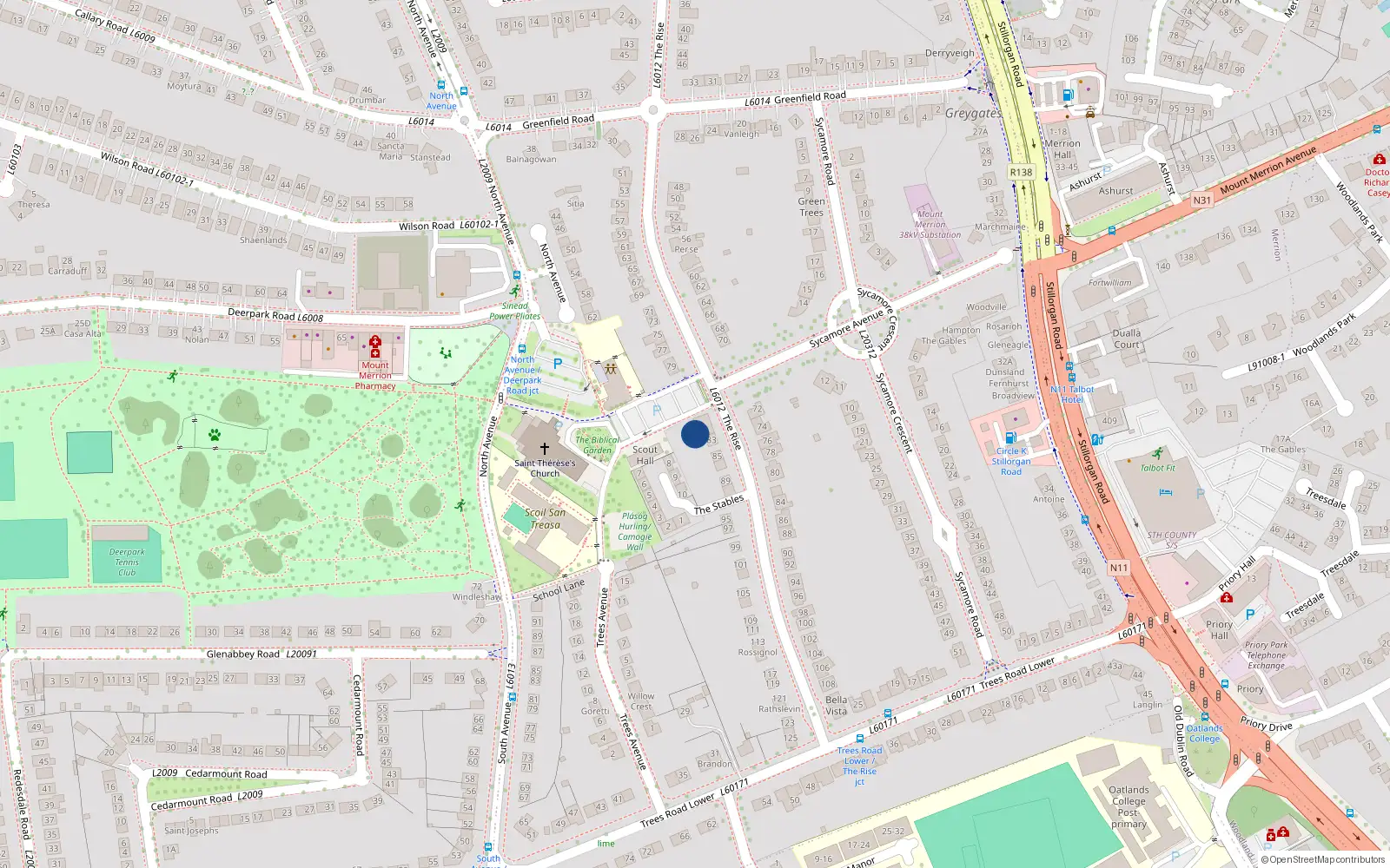 Overhead map showing the location of 81 The Rise, Blackrock