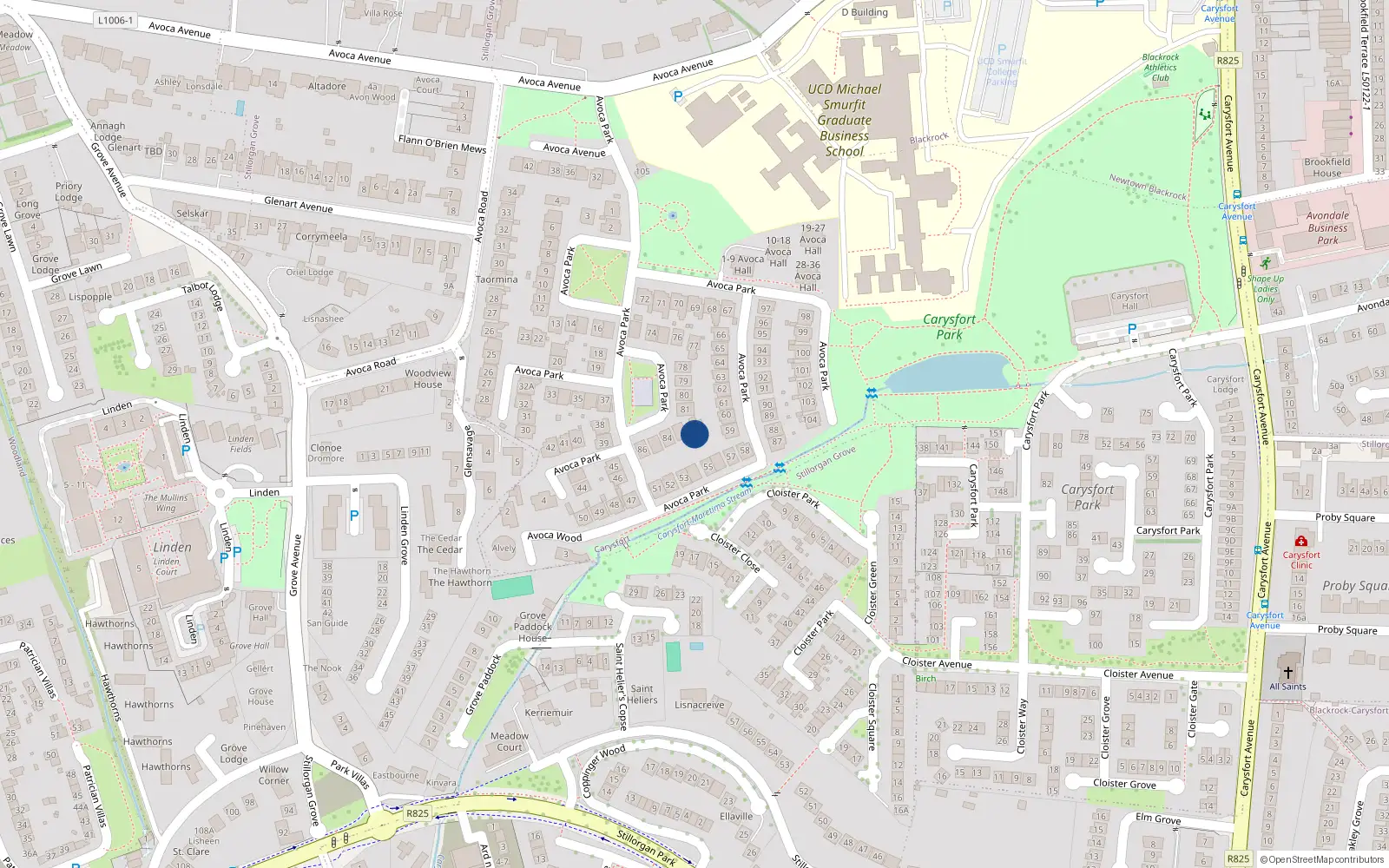 Overhead map showing the location of 82 Avoca Park, Blackrock, Dublin
