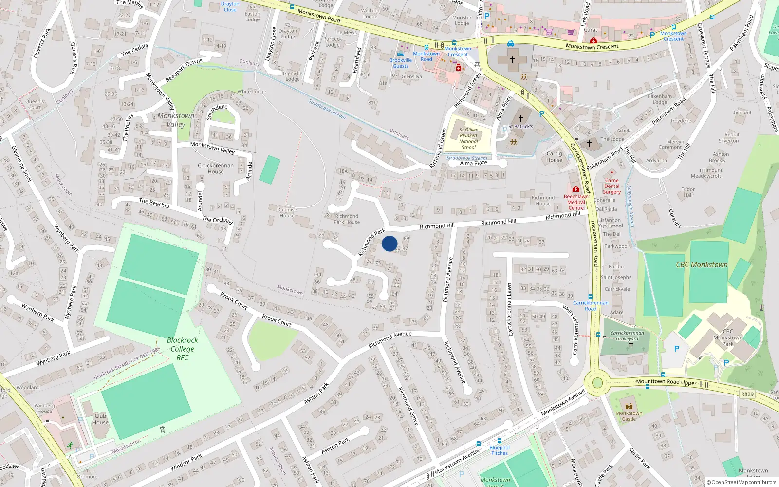 Overhead map showing the location of 82 Richmond Park, Monkstown