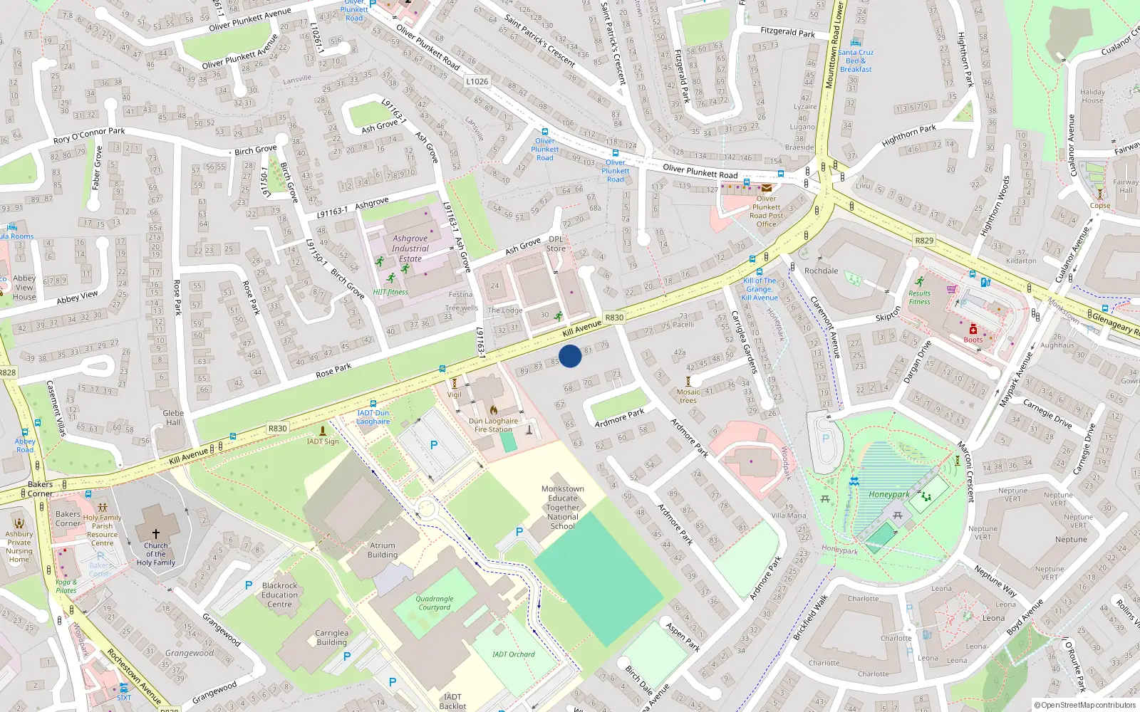 Overhead map showing the location of 83 Kill Avenue, Dublin