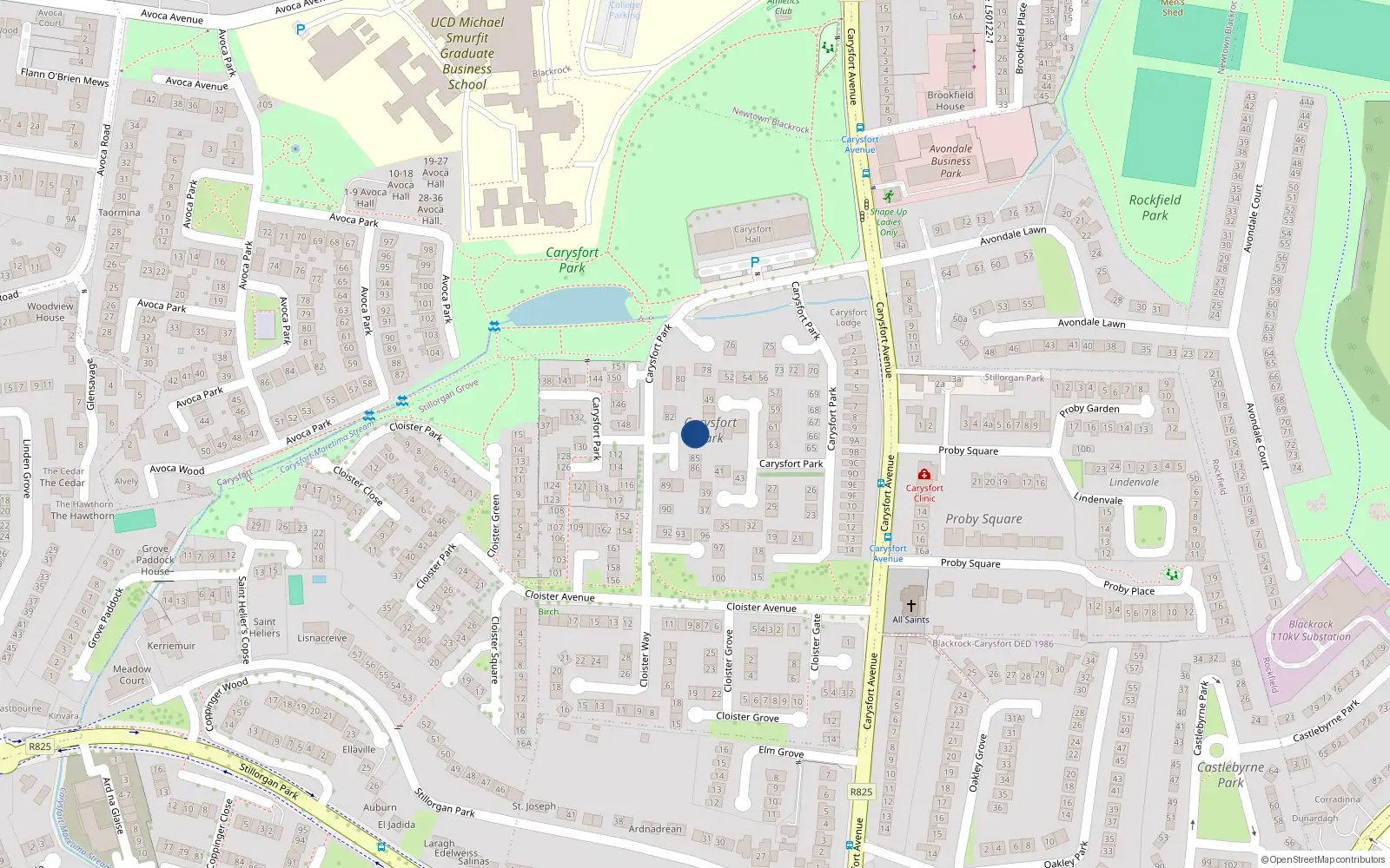 Overhead map showing the location of 84 Carysfort Park, Blackrock