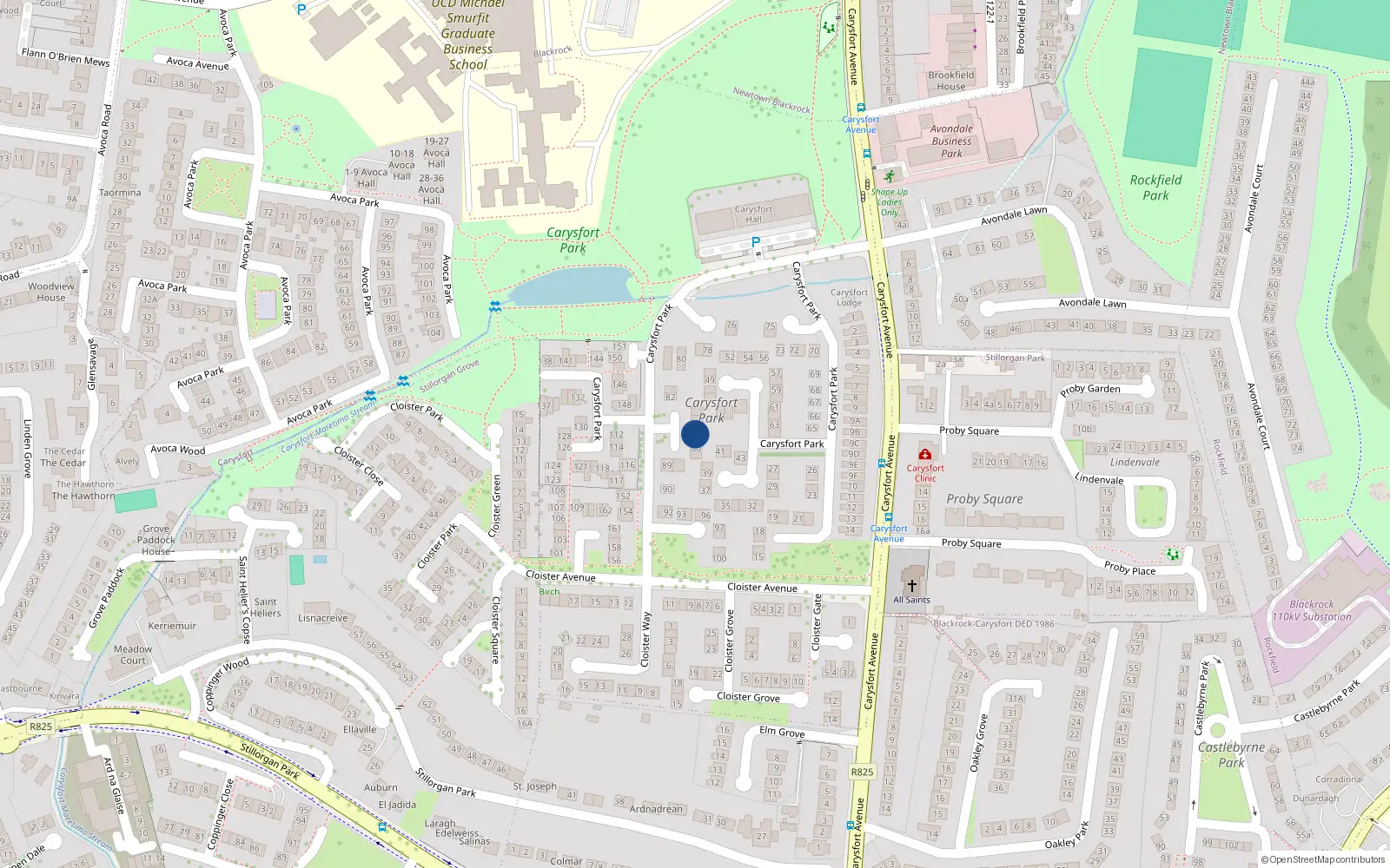 Overhead map showing the location of 85 Carysfort Park, Blackrock
