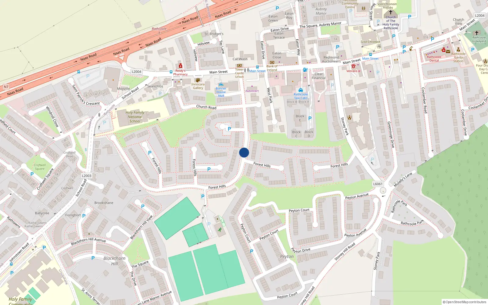 Overhead map showing the location of 87 Forest Hills, Rathcoole