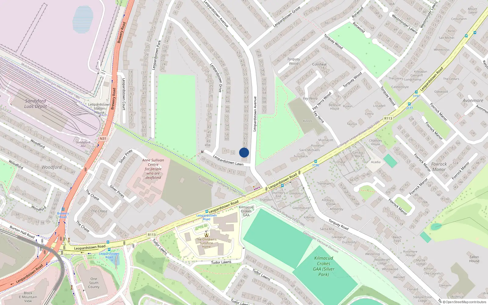 Overhead map showing the location of 87 Leopardstown Avenue, Blackrock, Co Dublin